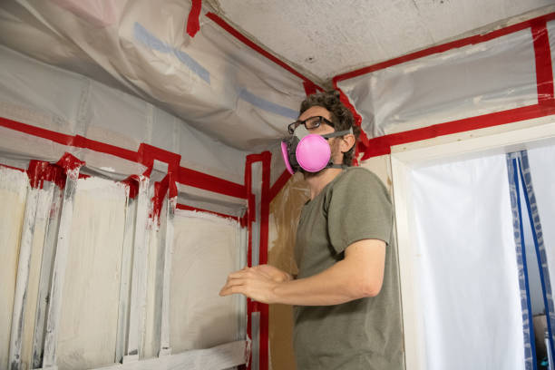 Trusted University Park, IL Mold Inspection, Removal & Remediation Experts